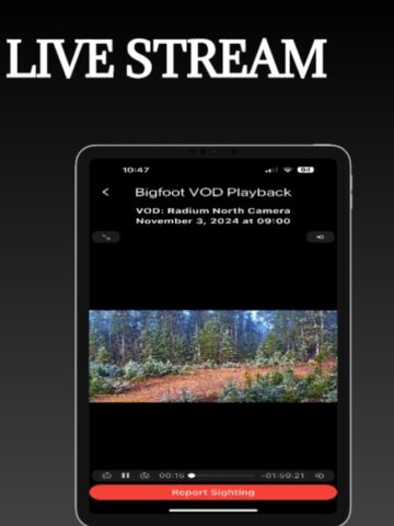 Cách live stream trên điện thoại youtube Chuyên nghiệp, Hiệu Quả