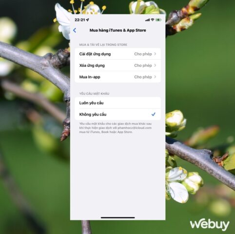 Cách Tải Video Từ 1 Drive: Hướng Dẫn Chi Tiết Với iCloud và Các Nền Tảng Phổ Biến
