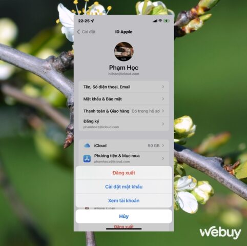 Cách Tải Video Từ 1 Drive: Hướng Dẫn Chi Tiết Với iCloud và Các Nền Tảng Phổ Biến