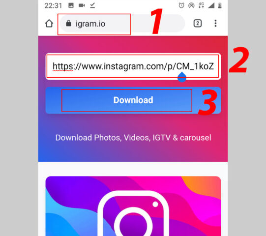 Cách Tải Ảnh và Video trên Instagram về Máy Tính Nhanh Chóng và Hiệu Quả