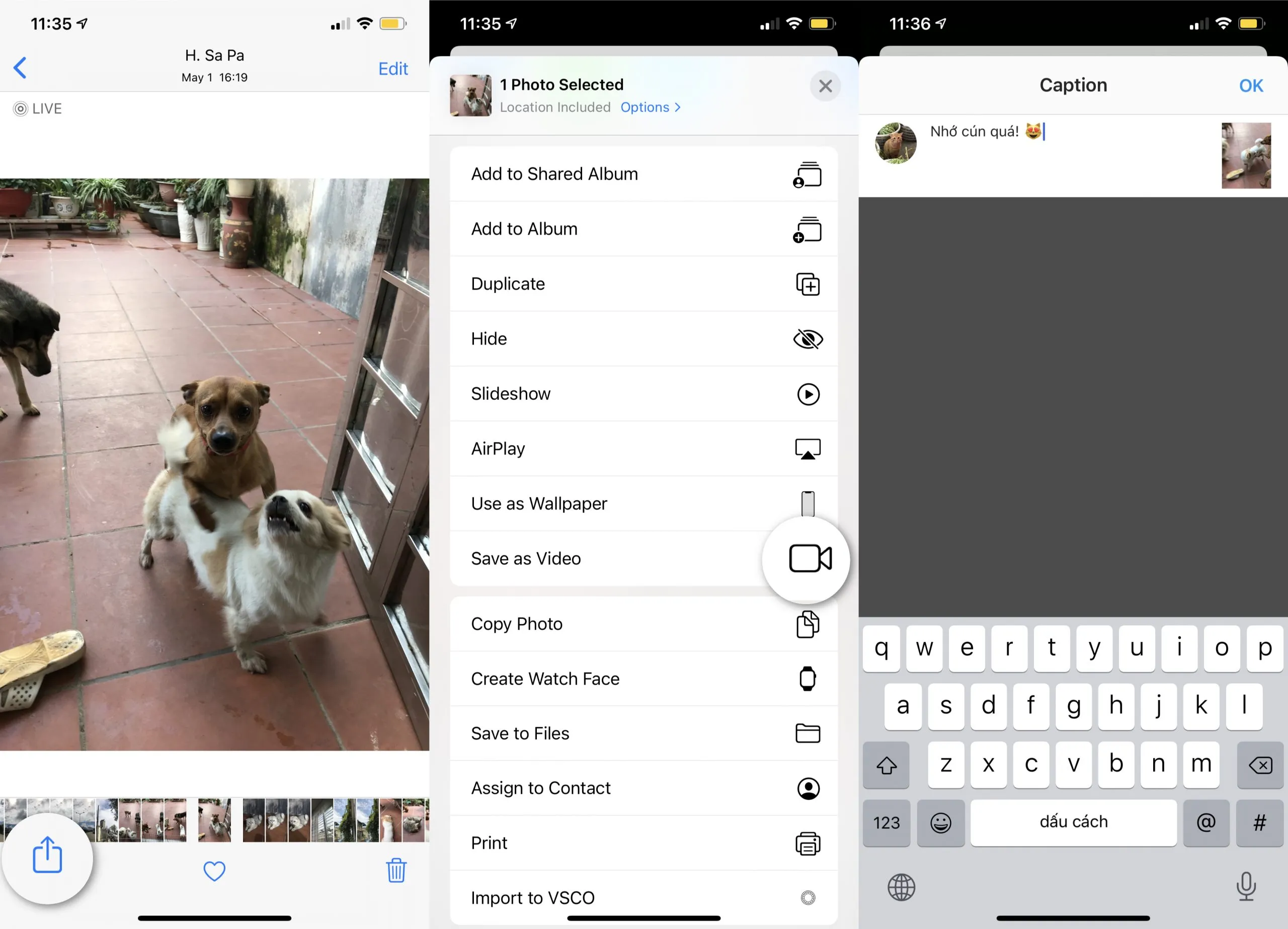 Cách xuất Live Photo thành video
