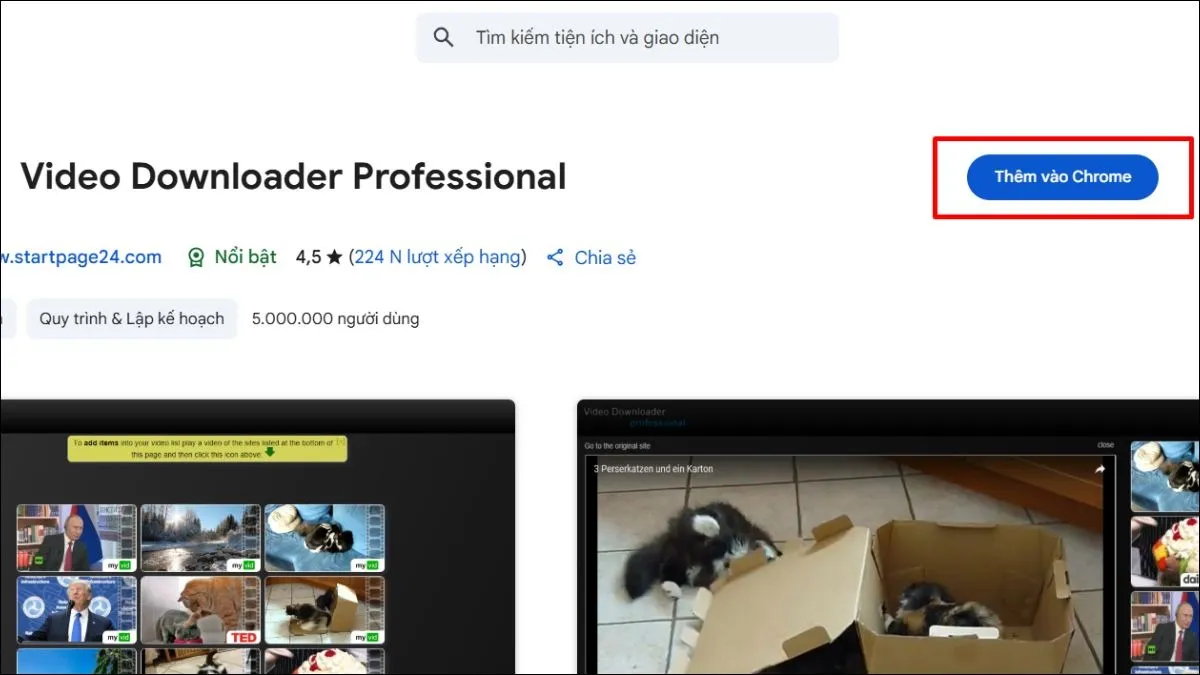 Cài đặt tiện ích Video Downloader Professional để tải video bằng Chrome