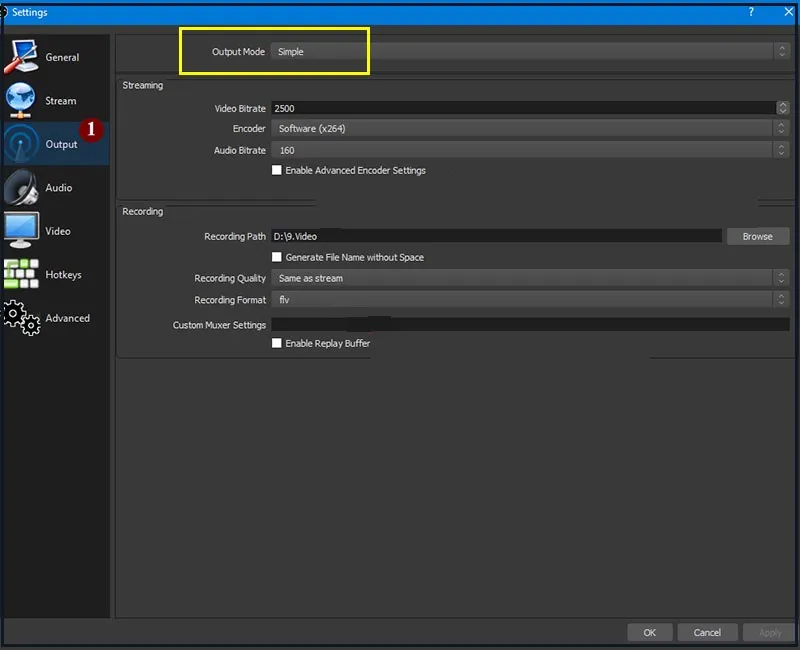 Cấu hình cài đặt đầu ra nâng cao (Output Advanced) trong OBS Studio