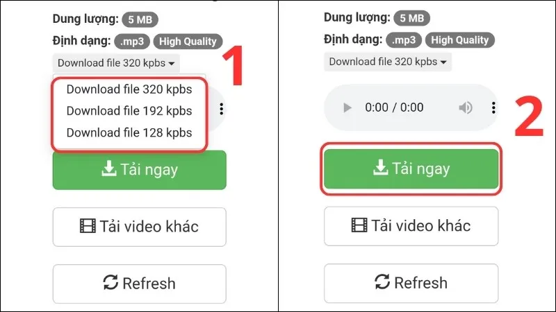 Chọn định dạng MP3 và nhấn Tải ngay trên X2Convert.com điện thoại