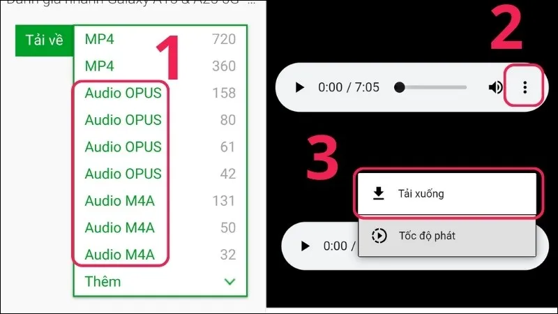 Chọn định dạng MP3 và tiến hành tải xuống file nhạc YouTube