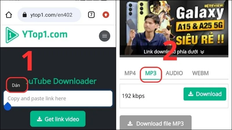 Dán đường dẫn video vào Ytop1.com và chọn định dạng tải về