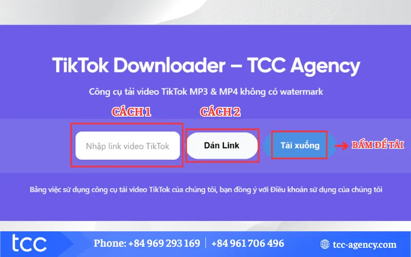 Dán liên kết video TikTok vào ô công cụ trên trình duyệt máy tính để bắt đầu tải xuống.