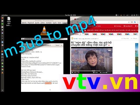 Hướng Dẫn Chi Tiết Cách Tải Video Trên VTV.vn Về Máy Để Xem Ngoại Tuyến