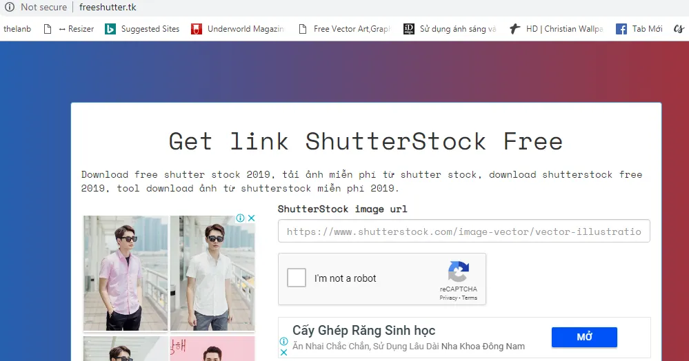 Hướng dẫn sử dụng Freeshutter.tk để lấy hình ảnh miễn phí từ Shutterstock