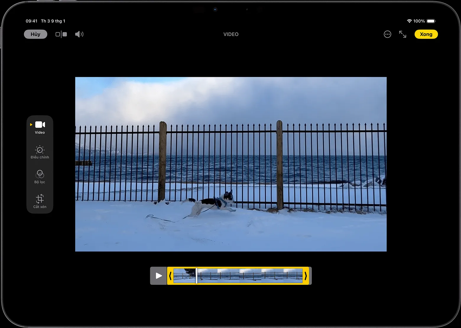 Cách Cắt Video Đã Tải Về Nhanh Chóng và Chuyên Nghiệp Trên Mọi Thiết Bị
