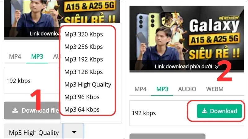 Lựa chọn định dạng âm thanh MP3 và nhấn Download để tải xuống từ Ytop1.com.
