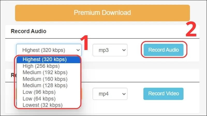 Lựa chọn định dạng MP3 và nhấn 'Record Audio' để tải nhạc