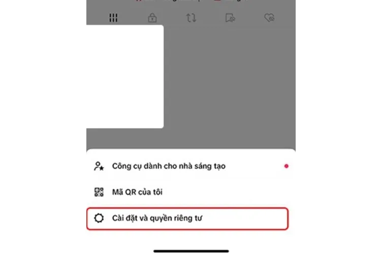 Màn hình Cài đặt và quyền riêng tư trên TikTok