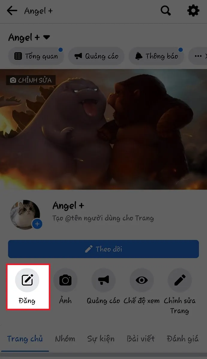 Màn hình điện thoại Facebook trên Fanpage, hiển thị các lựa chọn đăng bài, và chọn mục Đăng, hướng dẫn chi tiết cách live stream trên Fanpage Facebook