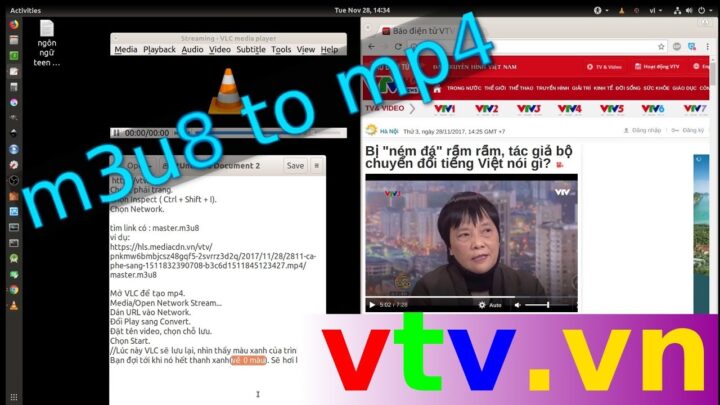 Hướng Dẫn Chi Tiết Cách Tải Video Trên VTV.vn Về Máy Để Xem Ngoại Tuyến
