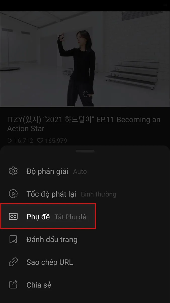 Menu tùy chọn trên V LIVE, đánh dấu vào mục "Phụ đề" để truy cập cài đặt ngôn ngữ