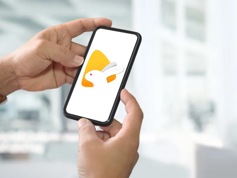 Minh họa các tính năng chính của Bunny Live, bao gồm khả năng kết nối và giao lưu toàn cầu