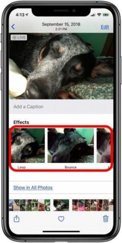 Cách đăng ảnh live lên facebook: Hướng Dẫn Chi Tiết Để Chia Sẻ Khoảnh Khắc Động Lên Mạng Xã Hội