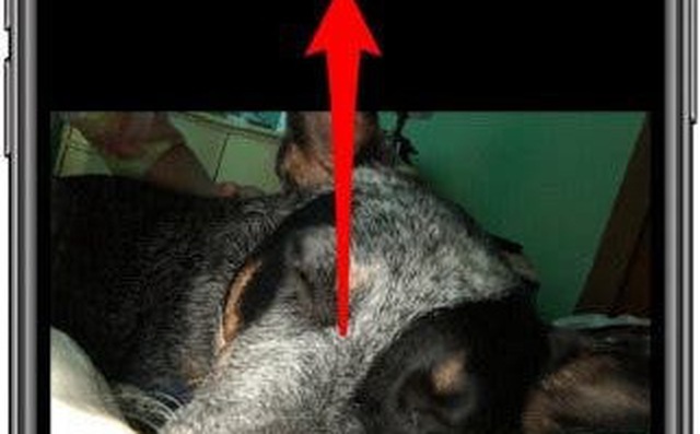 Cách đăng ảnh live lên facebook: Hướng Dẫn Chi Tiết Để Chia Sẻ Khoảnh Khắc Động Lên Mạng Xã Hội