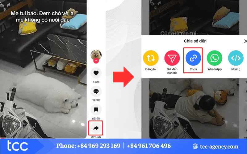 Cách Tải Video TikTok Ko Dính Logo: Hướng Dẫn Chi Tiết Và Toàn Diện Nhất