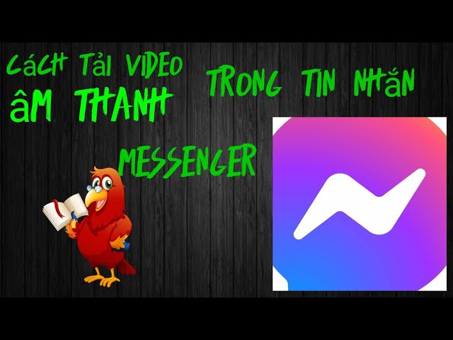 Cách Tải Video Trên Zing Lên Mes Nhanh Chóng và Hiệu Quả