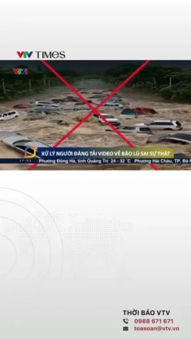 Hướng Dẫn Chi Tiết Cách Tải Video Trên VTV.vn Về Máy Để Xem Ngoại Tuyến