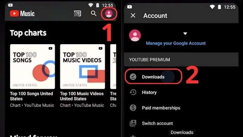 Truy cập mục Downloads trong tài khoản YouTube Music