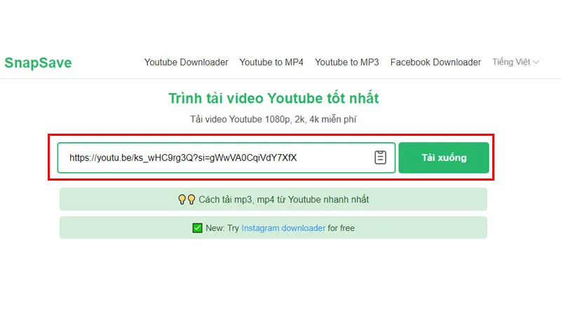 Truy cập Snapsave.io để dán link và tải video từ YouTube