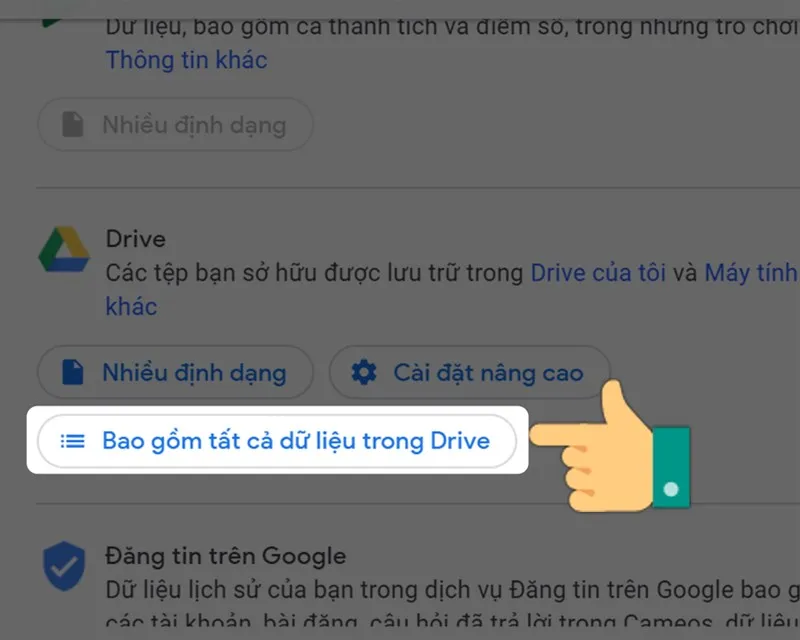 Tùy chọn bao gồm tất cả dữ liệu trong Google Drive cho việc xuất