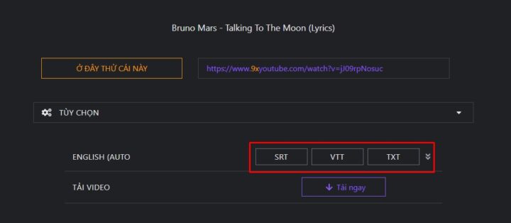 Giao diện Save Subs chọn ngôn ngữ và định dạng phụ đề