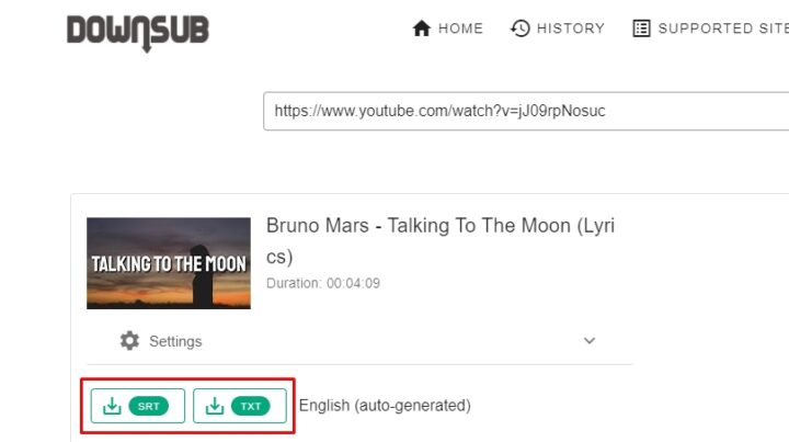 Giao diện Down Sub và các tùy chọn tải phụ đề SRT, TXT