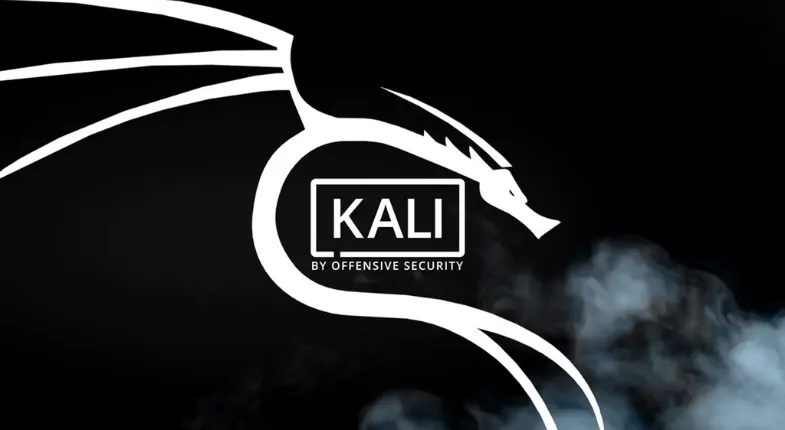 Cách Sử Dụng Kali Linux Live USB: Hướng Dẫn Chi Tiết Tạo Ổ Đĩa Boot Khả Chuyển và Bền Vững