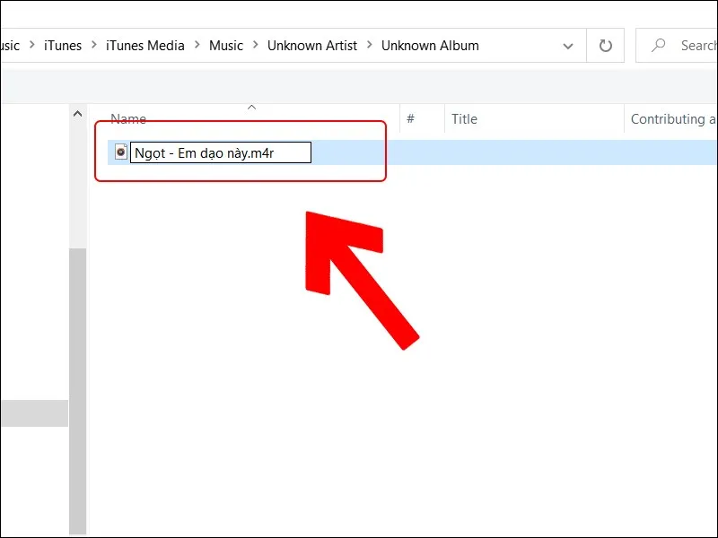 Bạn cần chuyển thành .m4r mới sử dụng được trên iPhone XS Max