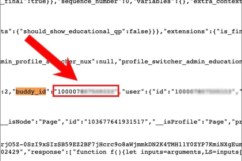 Các dãy ID người dùng (10000xxxx) xuất hiện sau khi tìm kiếm buddy_id trong mã nguồn