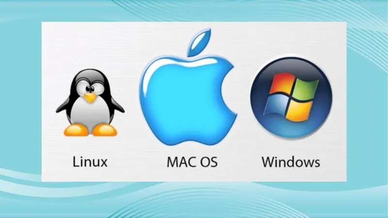 Các hệ điều hành được hỗ trợ tải về