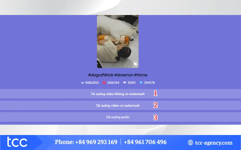 Các tùy chọn định dạng tải xuống video TikTok: không watermark, có watermark và audio MP3