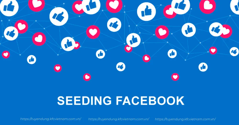 Chiến thuật Seeding Facebook thông minh để tăng lượt follow trên Facebook bền vững