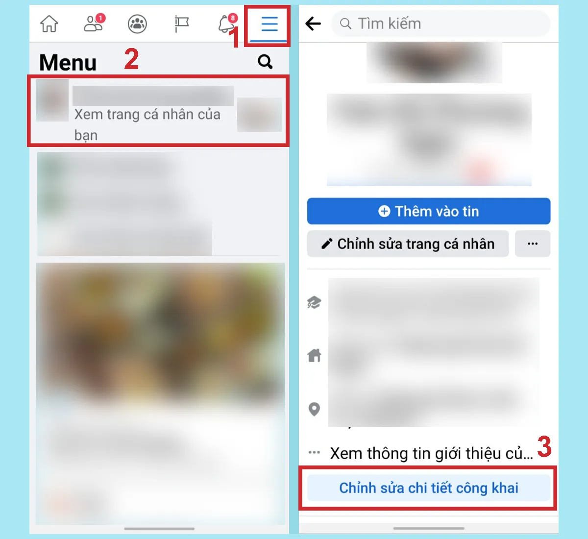 Chọn Chỉnh sửa chi tiết công khai trên trang cá nhân điện thoại