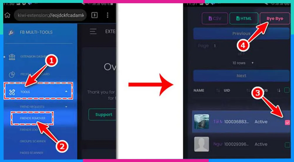 Chọn Friends Remover trong Multiple Tools for Facebook