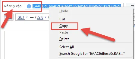 Copy Mã truy cập (Access Token) phiên bản 2.3 mới.