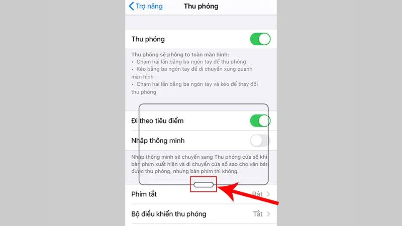 Cửa sổ Thu Phóng màn hình iPhone đang hoạt động