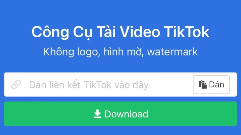 Dán liên kết đã sao chép vào ô của Snaptik và chọn Download