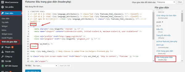Dán thẻ meta vừa copy vào trang chủ của website