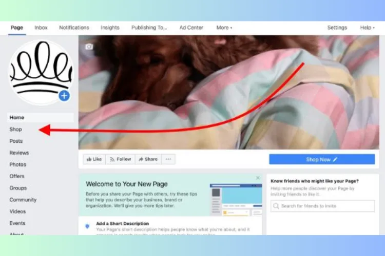 Để thiết lập Cửa hàng Facebook, người dùng cần bấm vào danh mục 'Shop' ở cột bên trái khi thực hiện cách tạo page bán hàng facebook