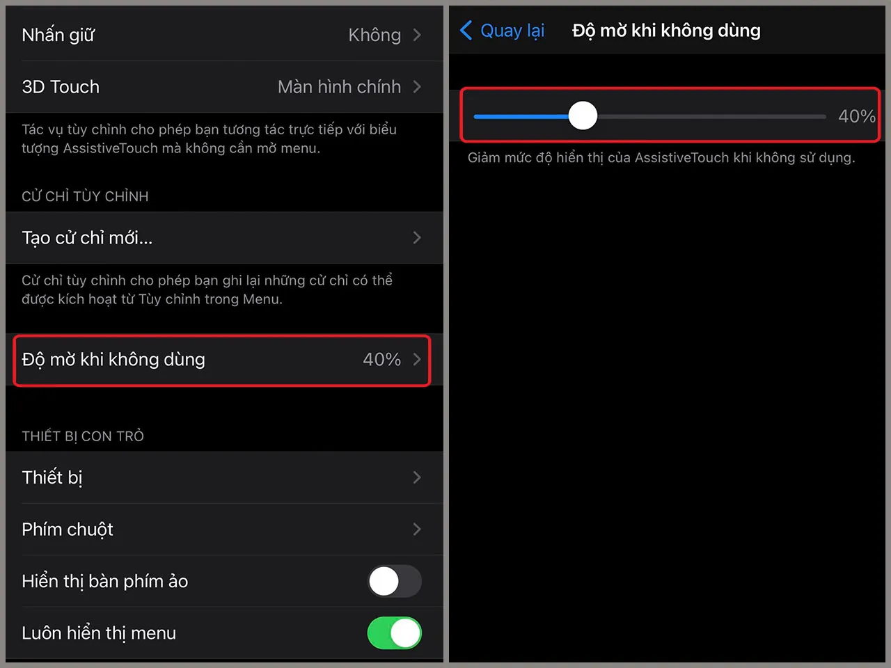 Điều chỉnh Độ mờ khi không dùng để tùy chỉnh nút Home ảo