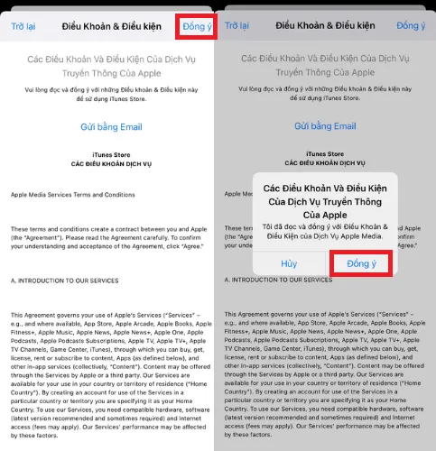 Đồng ý với các Điều Khoản & Điều kiện khi đổi vùng để cài google earth cho iphone