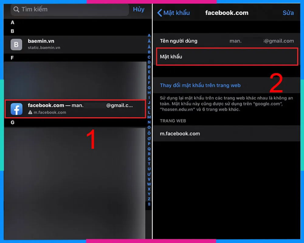Giao diện Cài đặt Mật khẩu & Tài khoản trên iPhone (iOS 13 trở xuống)