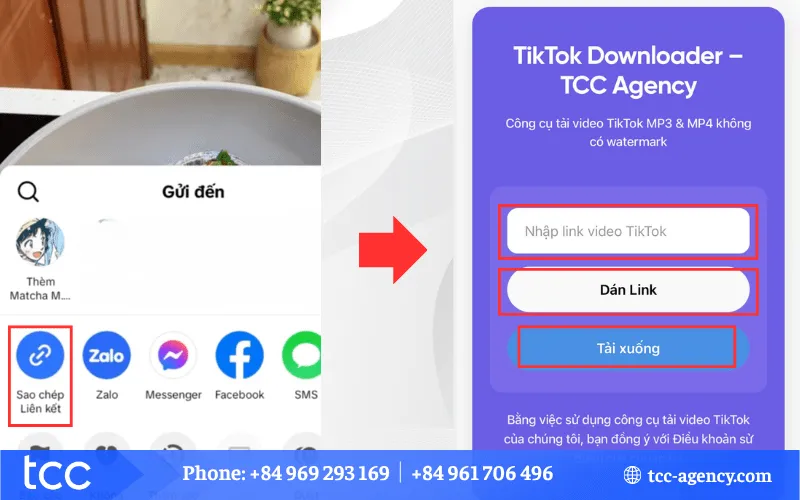 Giao diện công cụ tải video TikTok không logo trên trình duyệt web