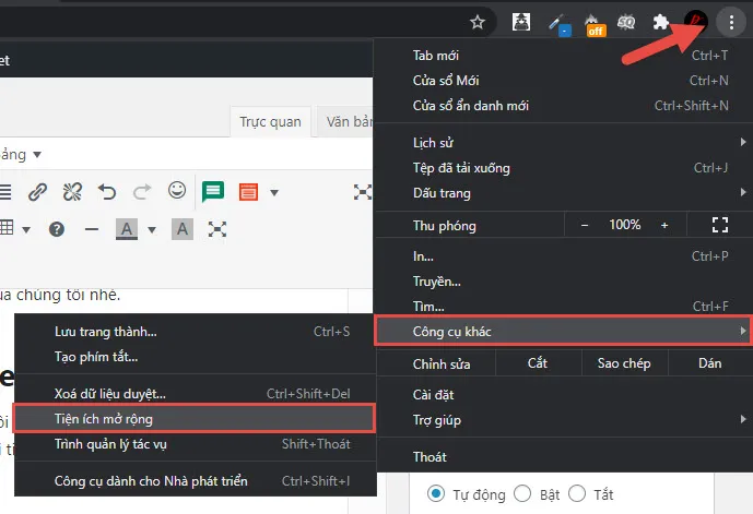 Giao diện kiểm tra tiện ích mở rộng trên Chrome với đường dẫn chrome://extensions/