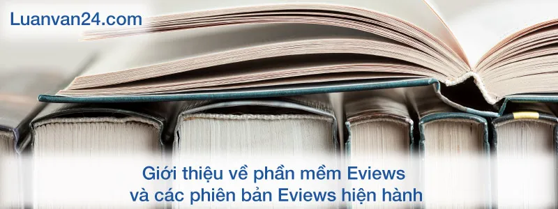 Hướng Dẫn Chi Tiết Cách Cài Eview 7, 10 và Khai Thác Toàn Diện Công Cụ Phân Tích Kinh Tế Lượng Chuyên Sâu